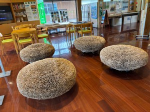 草原の椅子①