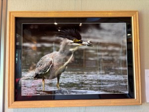 IMG_4915